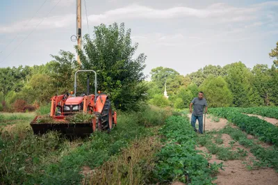 Vicente Gonzalez weeds crops of peas at his farm in Bodcaw, Ark. on Sept. 7, 2023. Photo by Rory Doyle.